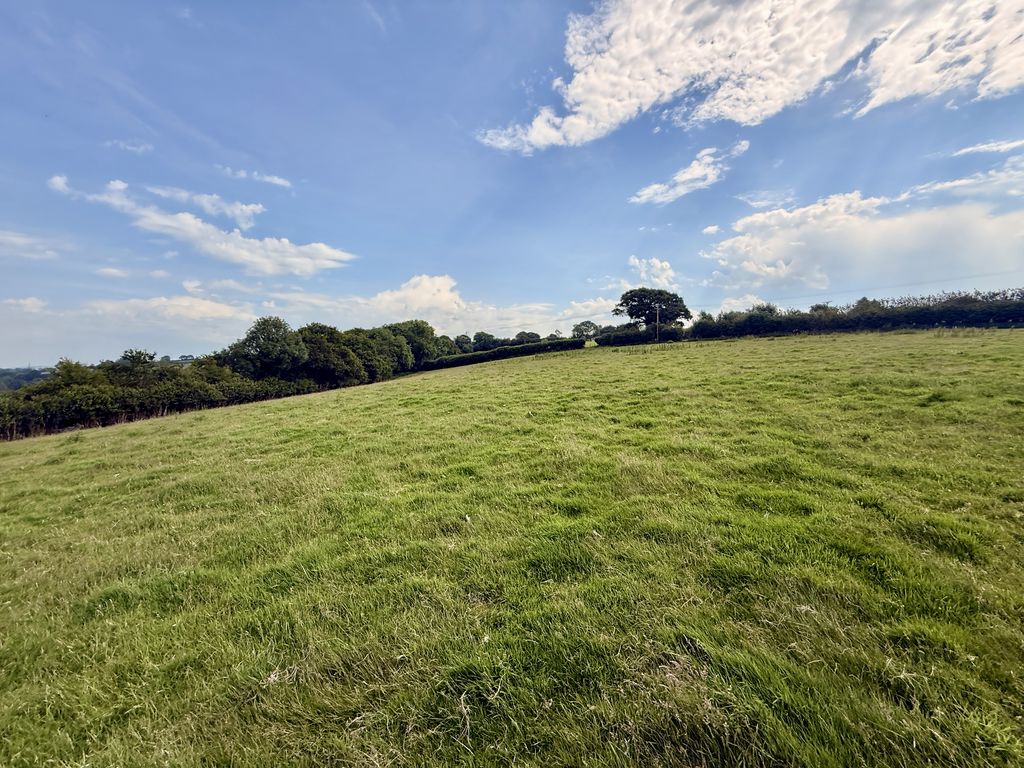  Trewidland